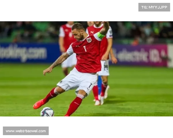 阿瑙托维奇呼吁奥地利设假日庆祝国家队晋级世界杯